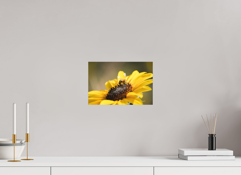 12 x 8″, Hahnemüle Smooth Rag Fine Art Paper Running Errands