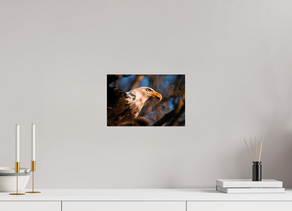 12 x 8″, Hahnemüle FineArt Baryta Paper Sentinel