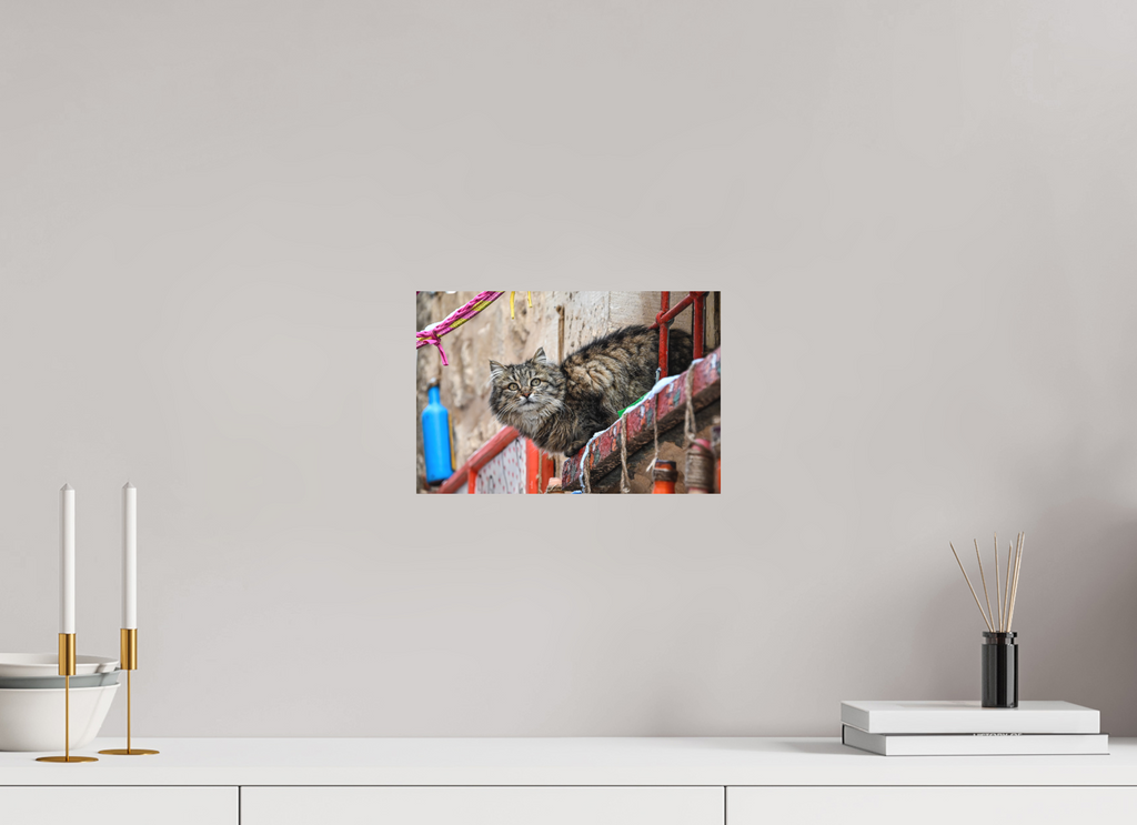 12 x 8″, Smooth Rag | No frame | No border Distinguished Gentleman