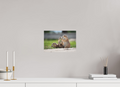 12 x 8″, Hahnemüle Smooth Rag Fine Art Paper Family