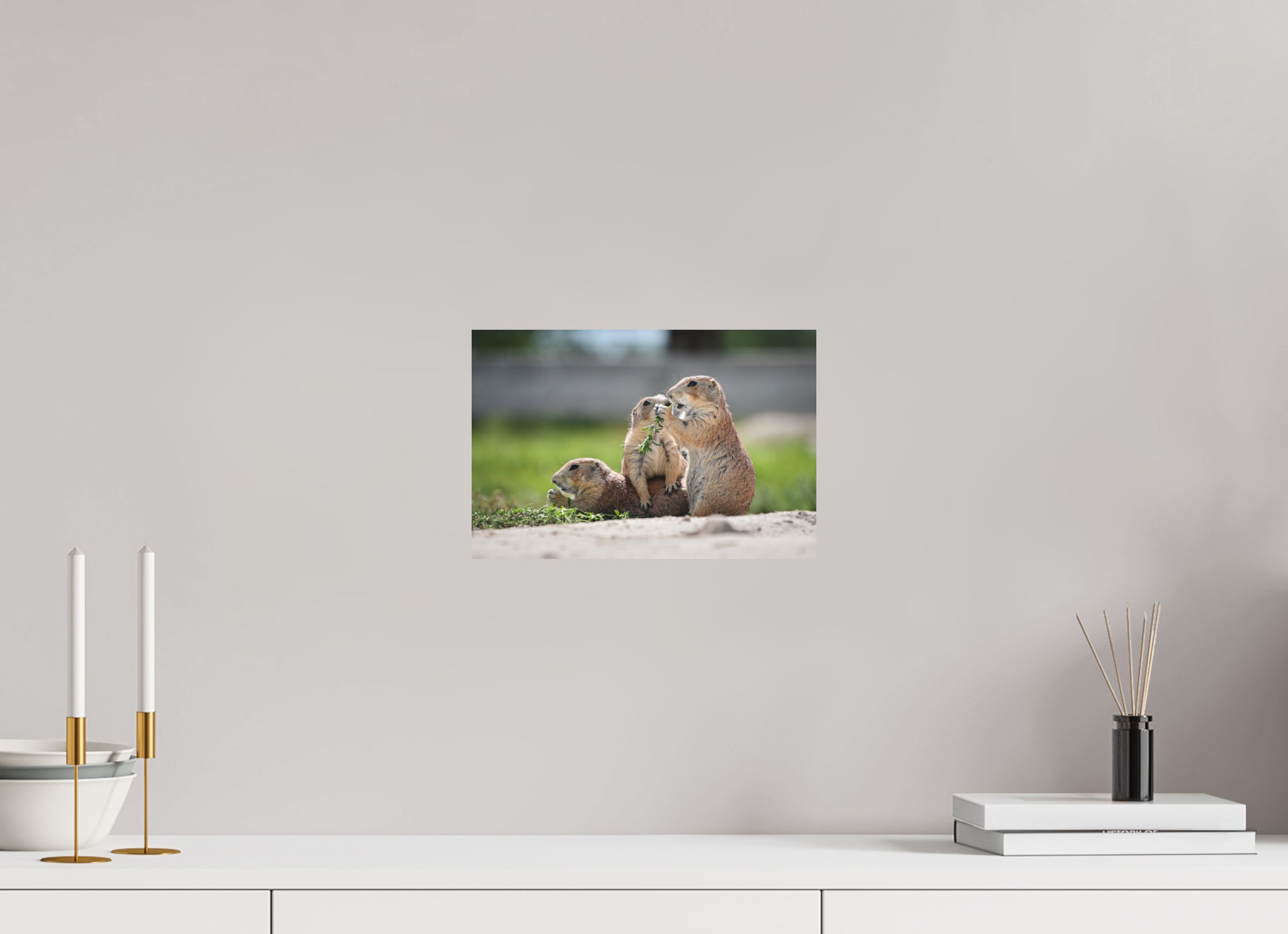 12 x 8″, Hahnemüle Smooth Rag Fine Art Paper Family