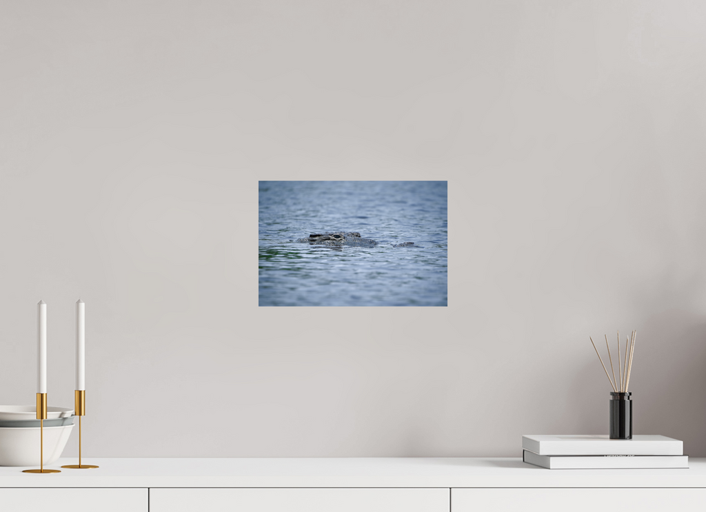 12 x 8″, Hahnemüle FineArt Baryta Paper The Watcher