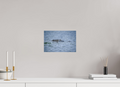 12 x 8″, Hahnemüle FineArt Baryta Paper The Watcher