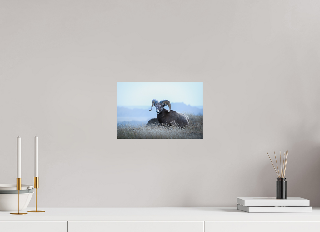 12 x 8″, Hahnemüle FineArt Baryta Paper Bighorn Vista